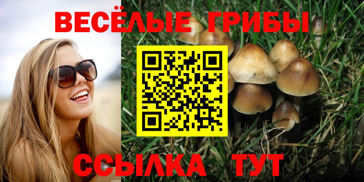 Псилоцибиновые грибы MAGIC MUSHROOMS Гурьевск