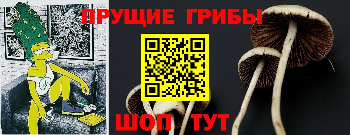 Галлюциногенные грибы Cubensis  Вход с VPN  Гурьевск  Псилоцибиновые грибы Magic Shrooms 